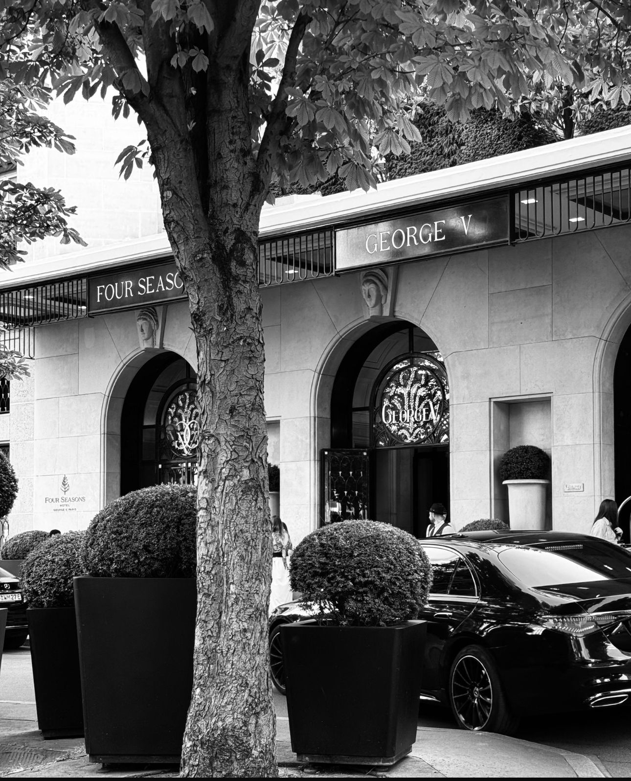 Varg Event - Sécurité événementielle de luxe